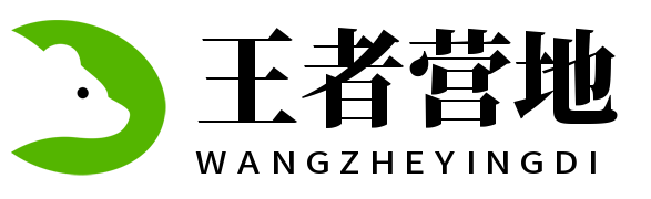 王者营地官方网页版 - 无需下载，也能畅享完整功能